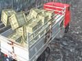 Гаме Оффроад Труцк Дривер  онлајн