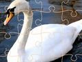 Гаме Сван Пуззле Цхалленге  онлајн