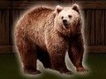 Гаме Саве Тхе Гриззли Беар  онлајн