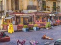Гаме Дивине Суммер  онлајн