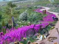 Гаме Траг који нестаје  онлајн