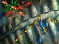 Гаме Краљ риболова  онлајн