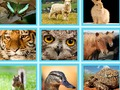 Гаме ЕГ Пиц Куиз  онлајн