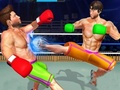 Гаме Бодибуилдер Ринг Фигхтинг Цлуб Рвање  онлајн