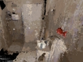 Гаме Заузето  онлајн