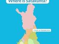 Гаме Региони Финске  онлајн